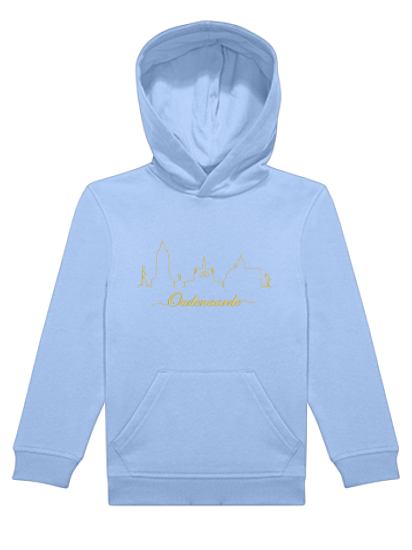 Afbeeldingen van Hoodie Kind - 9700 - Skyline
